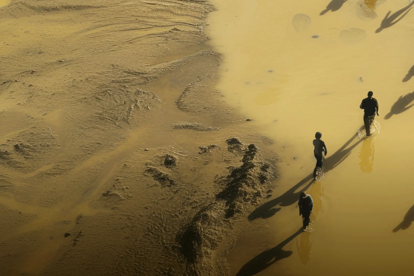 Image Singen, Sehnen