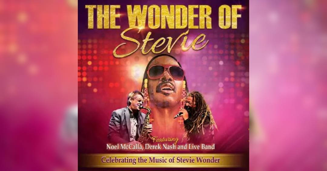 Image The Jazz Mix Presents The Wonder of Stevie