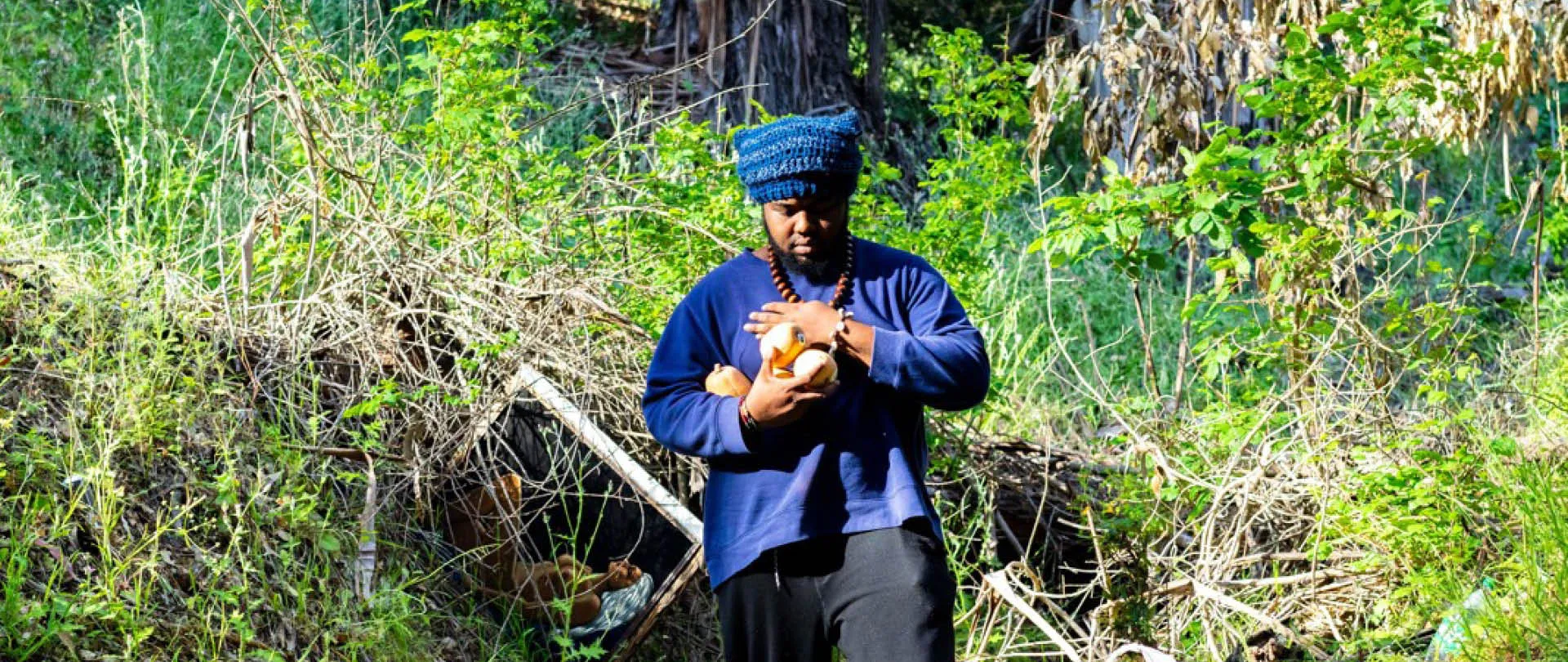 Image Veotis Latchison