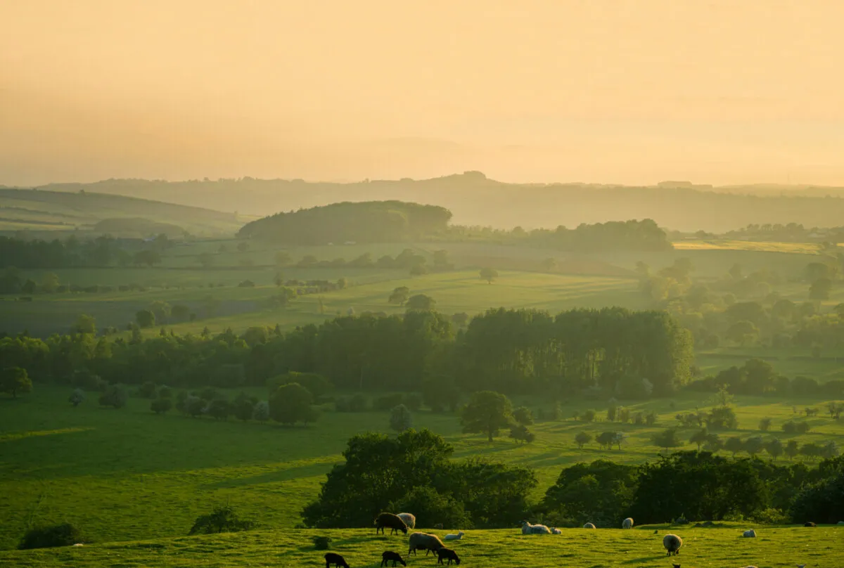 Image Pastoral Symphony
