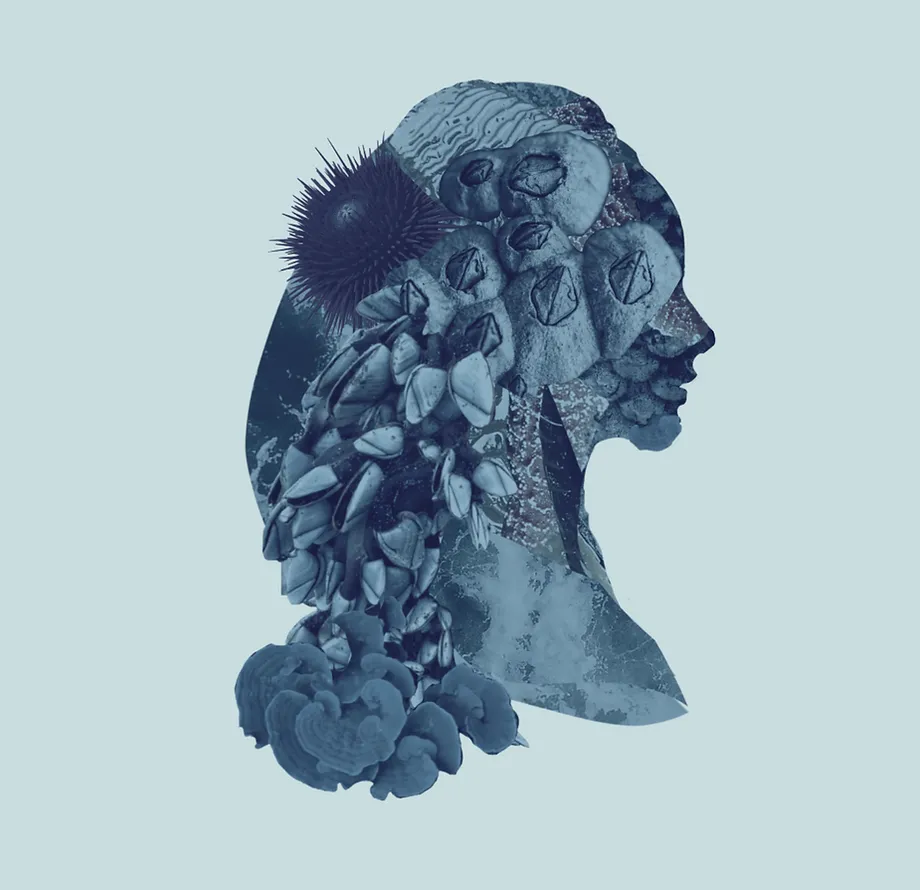 Image Quiet Light by Erin Hutton