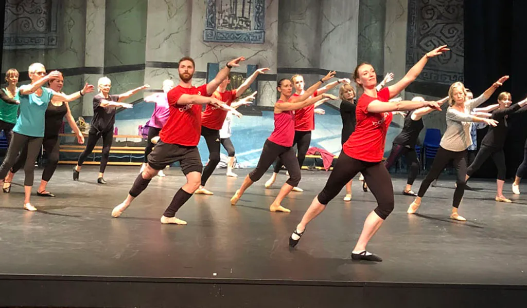 Image Silver Swans Summer 2026