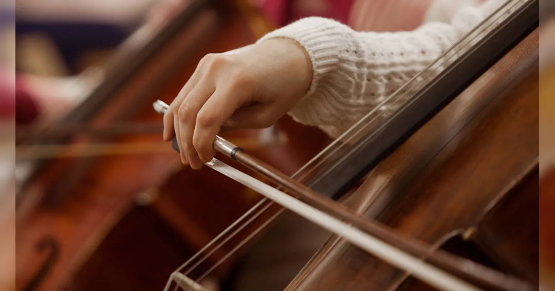 Image Dayton Philharmonic Youth Orchestra Family Concert: Rhythms of Wonder—United by the Beat