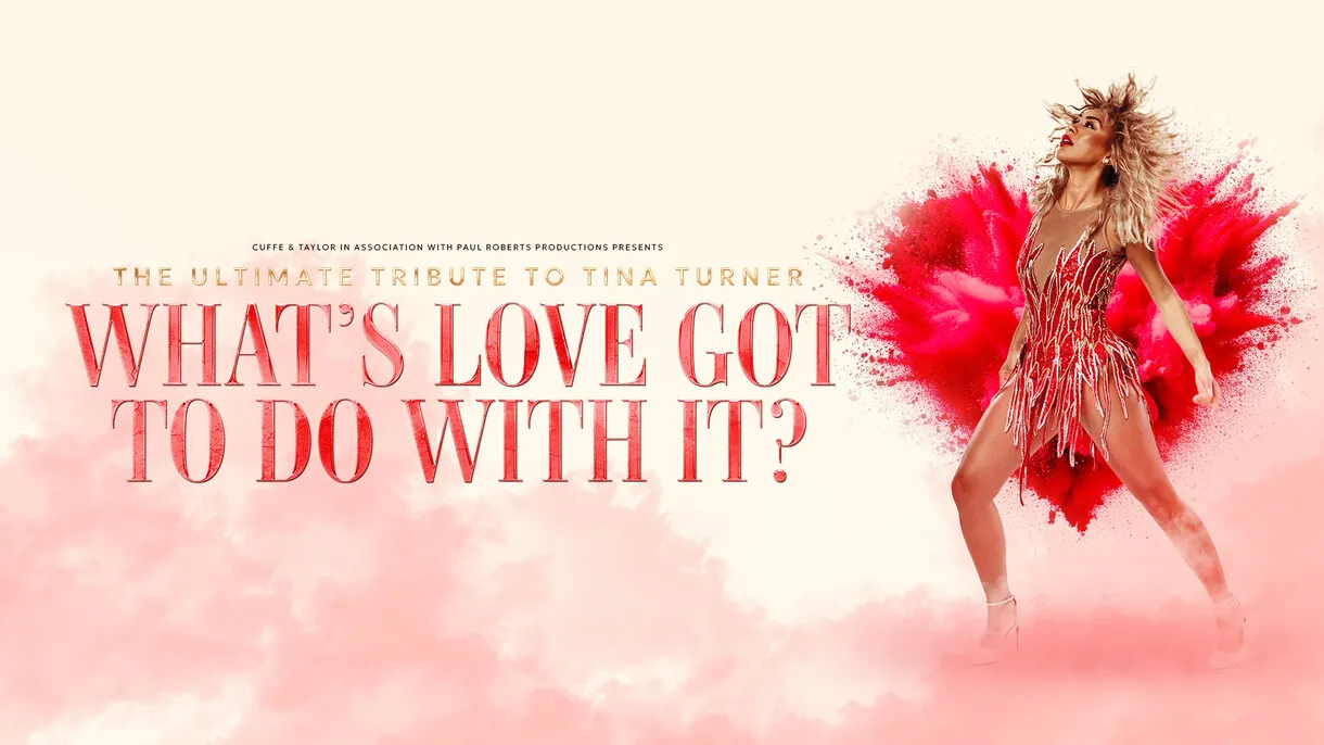 What's Love Got To Do With It?