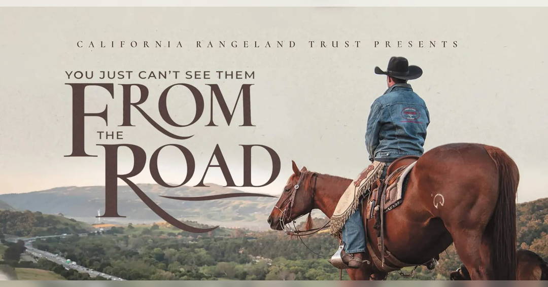 Image You Just Can't See Them From The Road