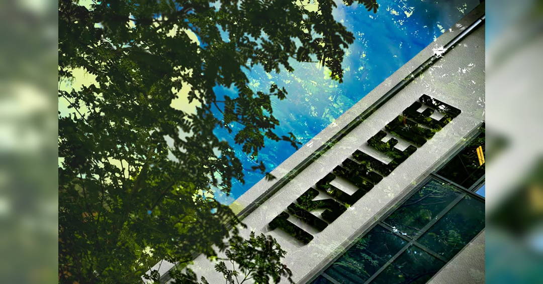 Image Chamber Music V: The sound of the forest – bringing nature to life