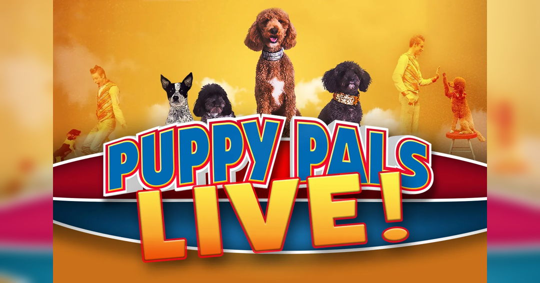 Image Pyppy Pals Live!