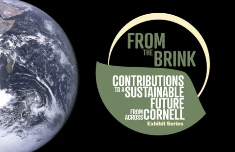 Image "From the Brink" Exhibit Series