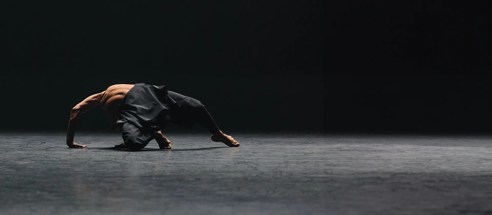 Image Company Wayne McGregor Autobiography