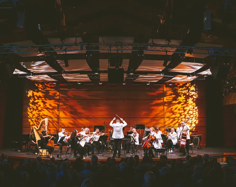 Image Orchestra Finale: Mahler Symphony No. 4