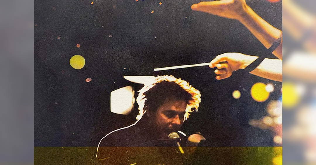 Image The Whitlams with the MSO