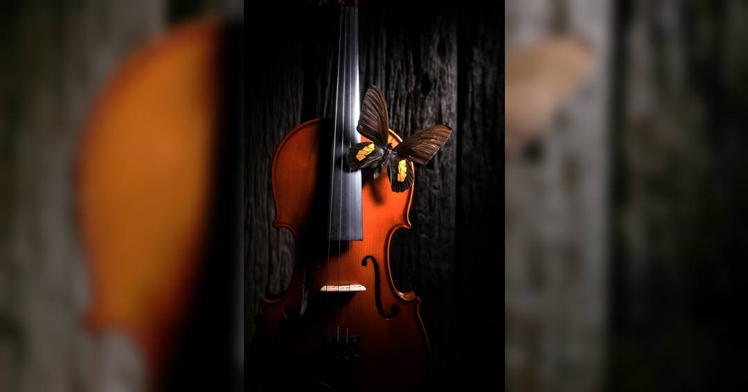 An American Celebration