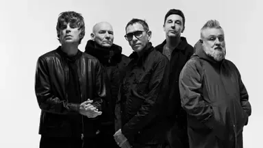 Image Shed Seven