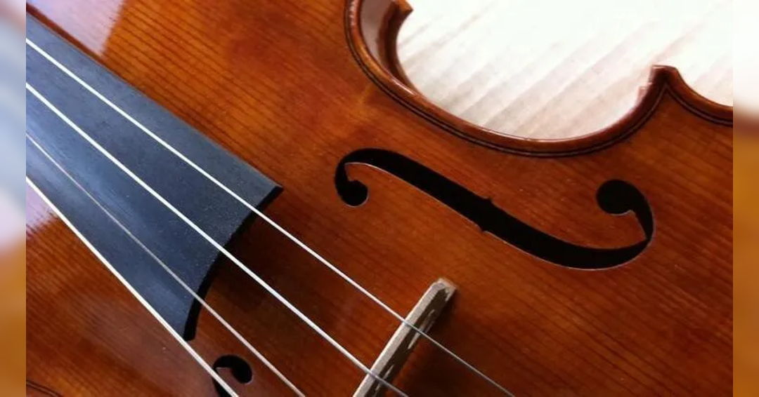 Image 2023 Viola Festival