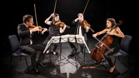 Image Carducci Quartet