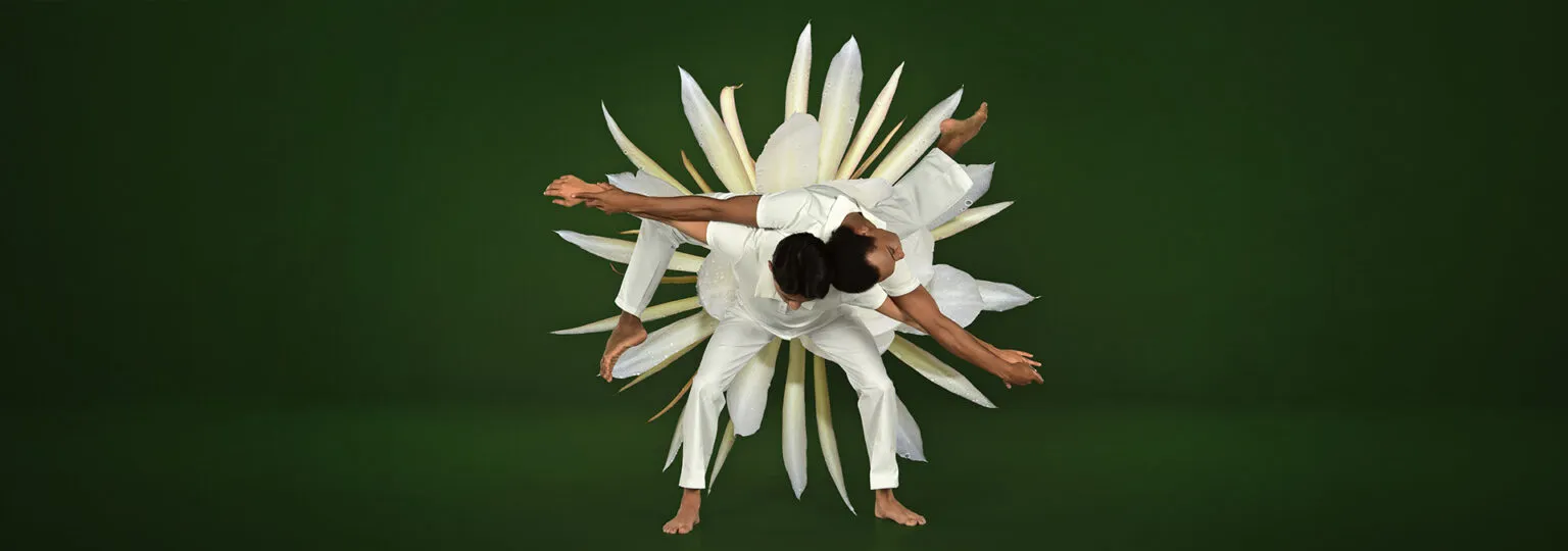 Image Ballet in Bloom