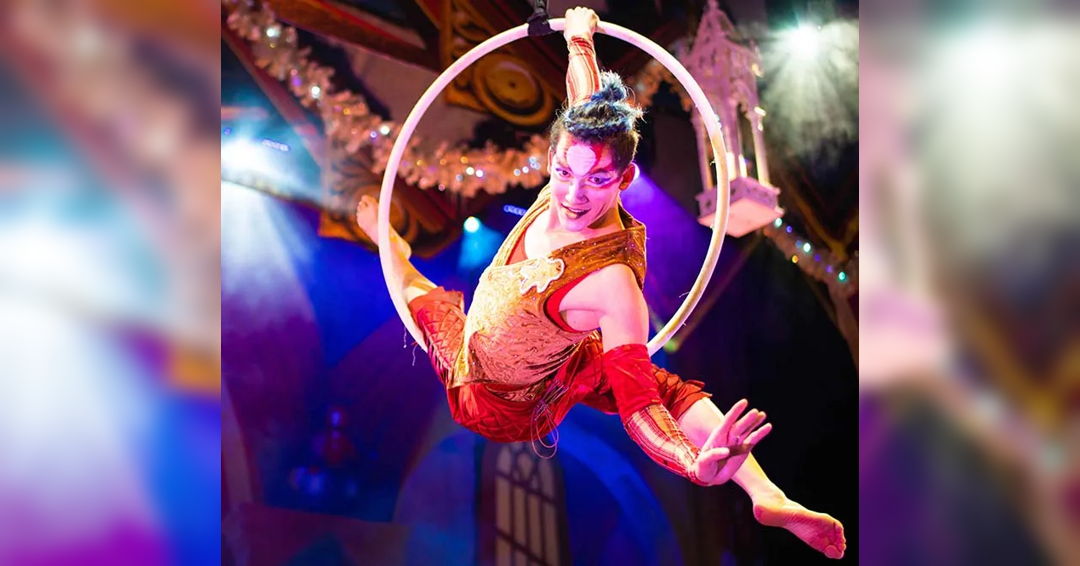 Image Cirque Dreams Holidaze