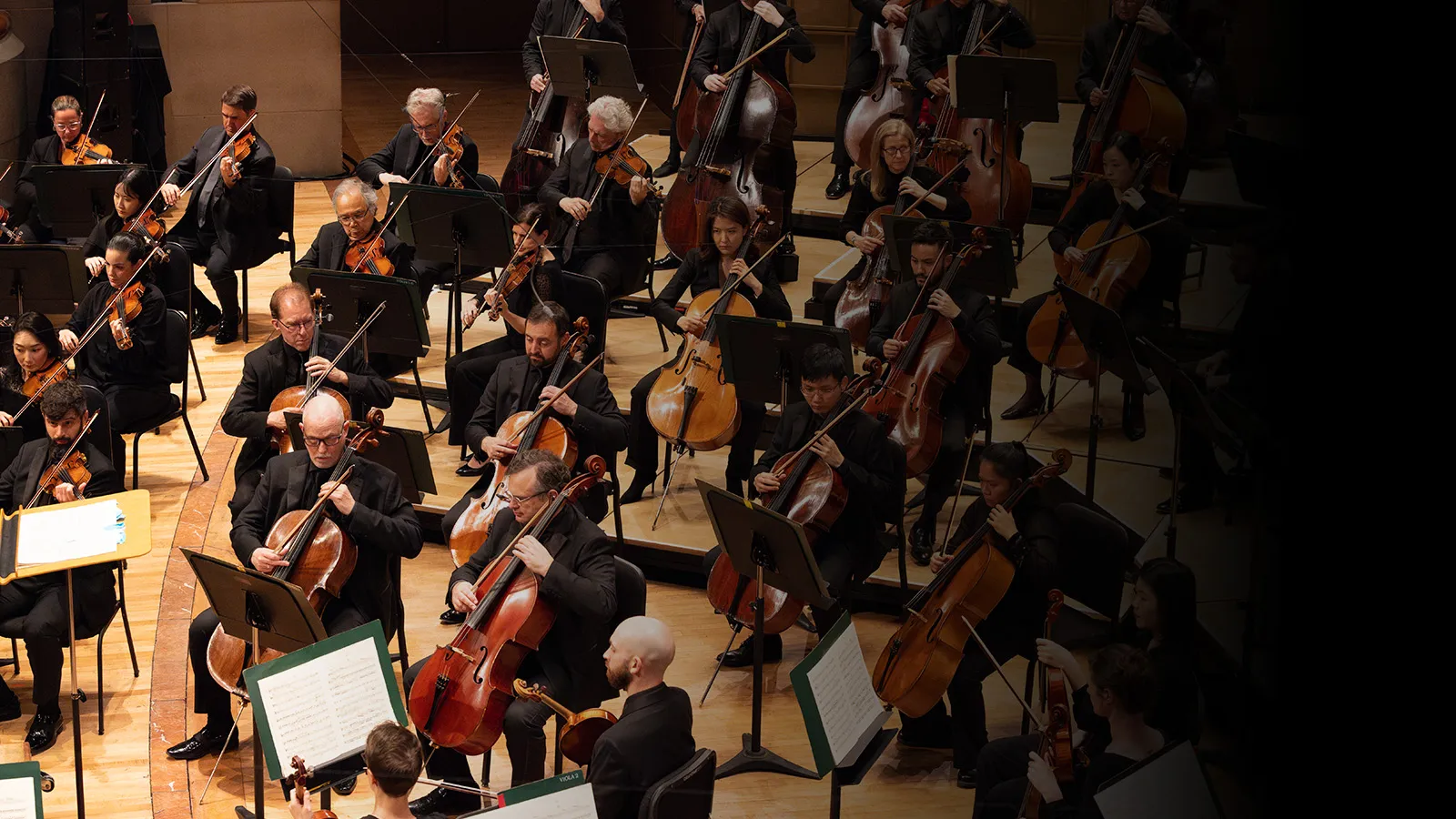 Image Mahler’s Symphony No. 1
