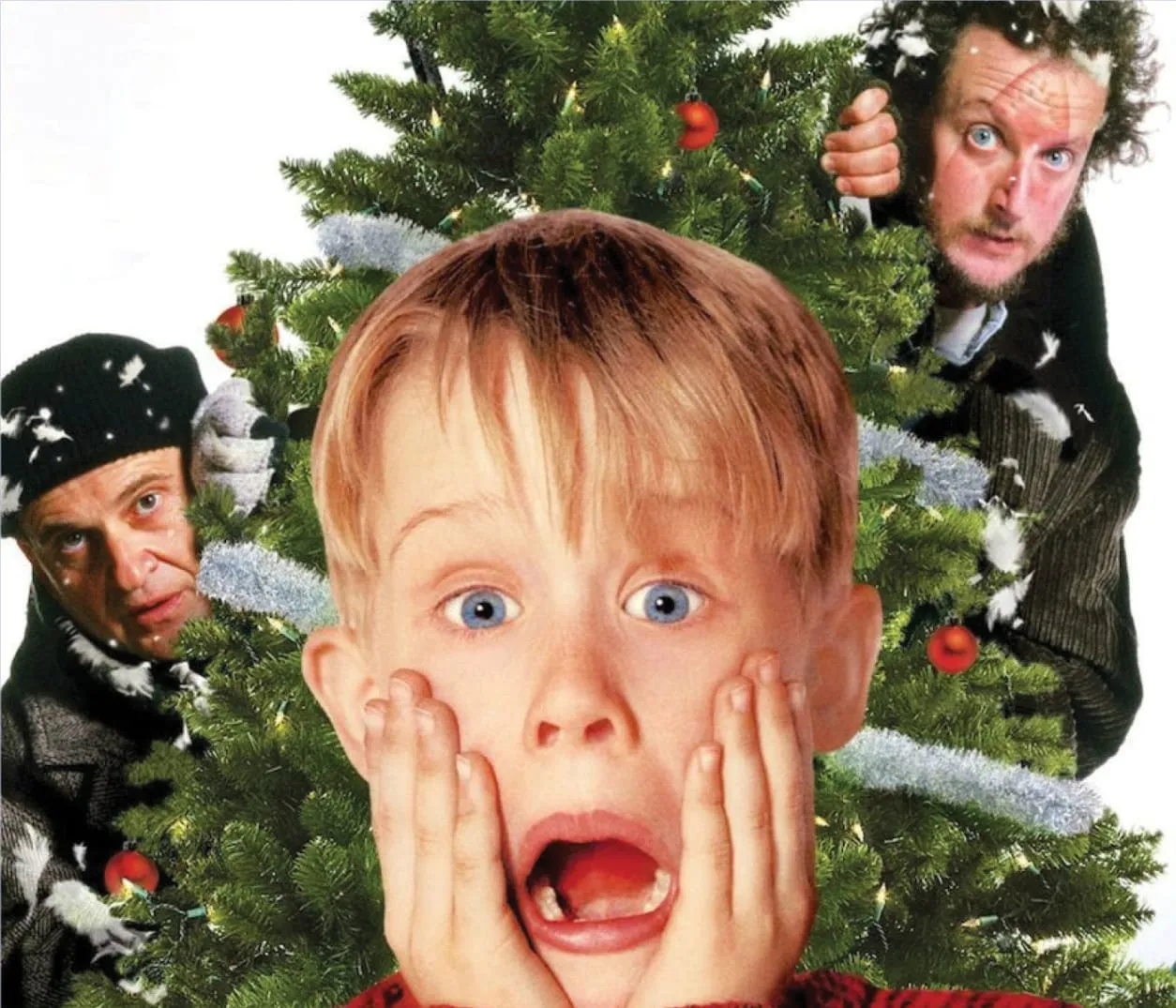 Image Home Alone in Concert