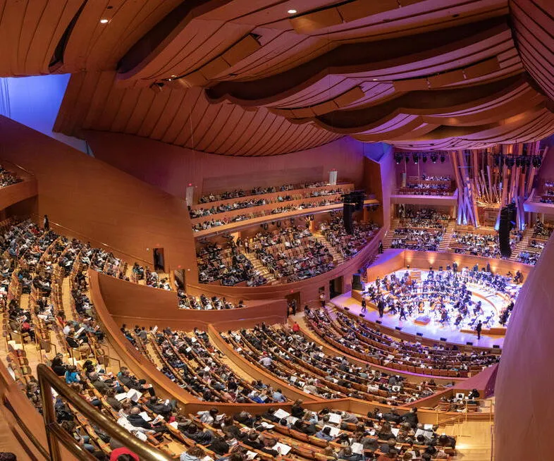 Image Symphonies for Youth