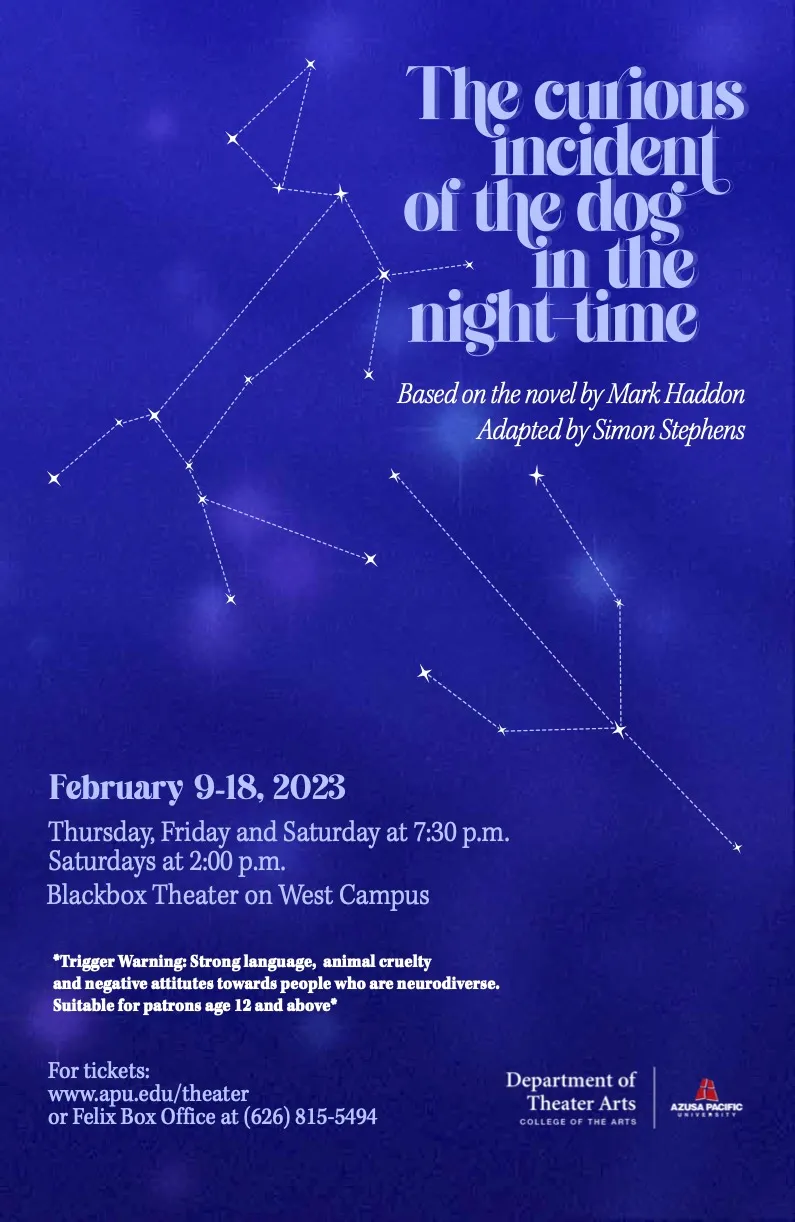 The Curious Incident of the Dog in the Night-Time