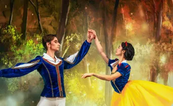 Image Snow White and the Seven Dwarfs