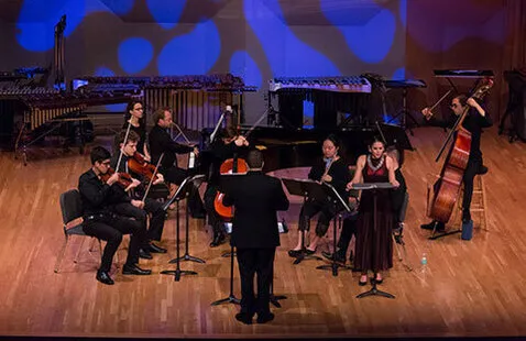 Image When Wood and Metal Become Alive | Ensemble Ibis