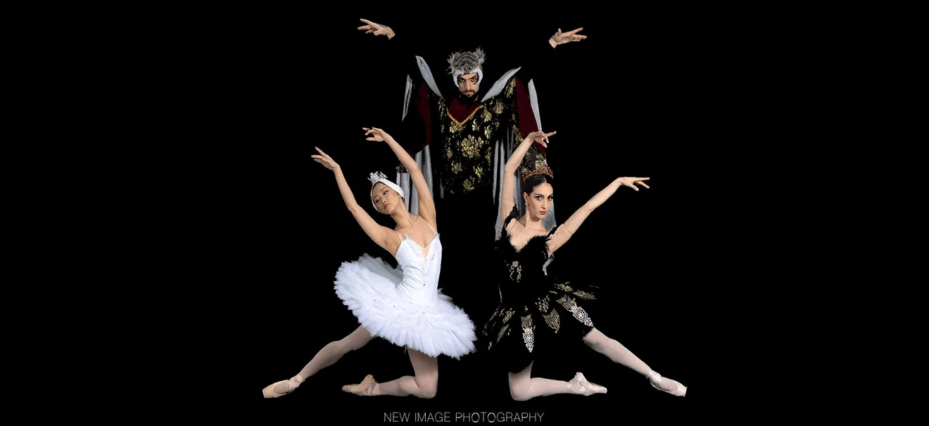 Image Swan Lake