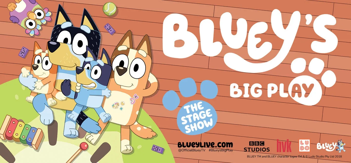 Image Bluey's Big Play