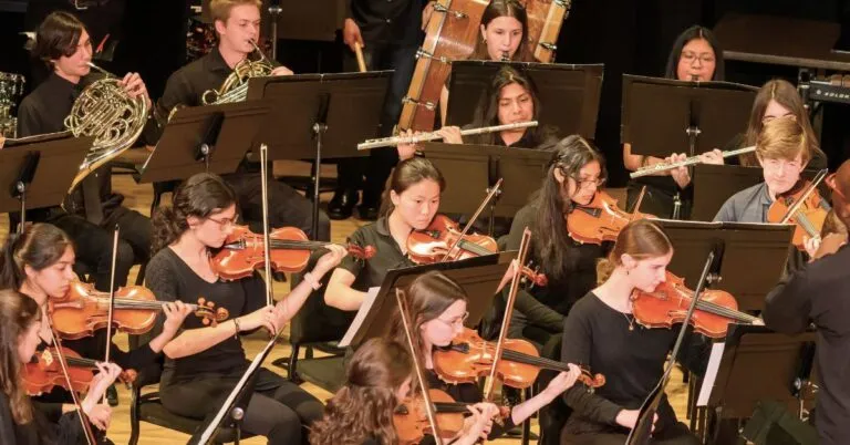 Image WPS Youth Orchestras Spring Concert