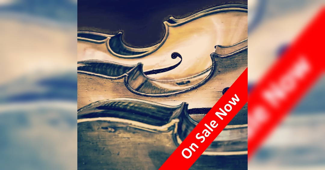 Beethoven: Upstart Genius