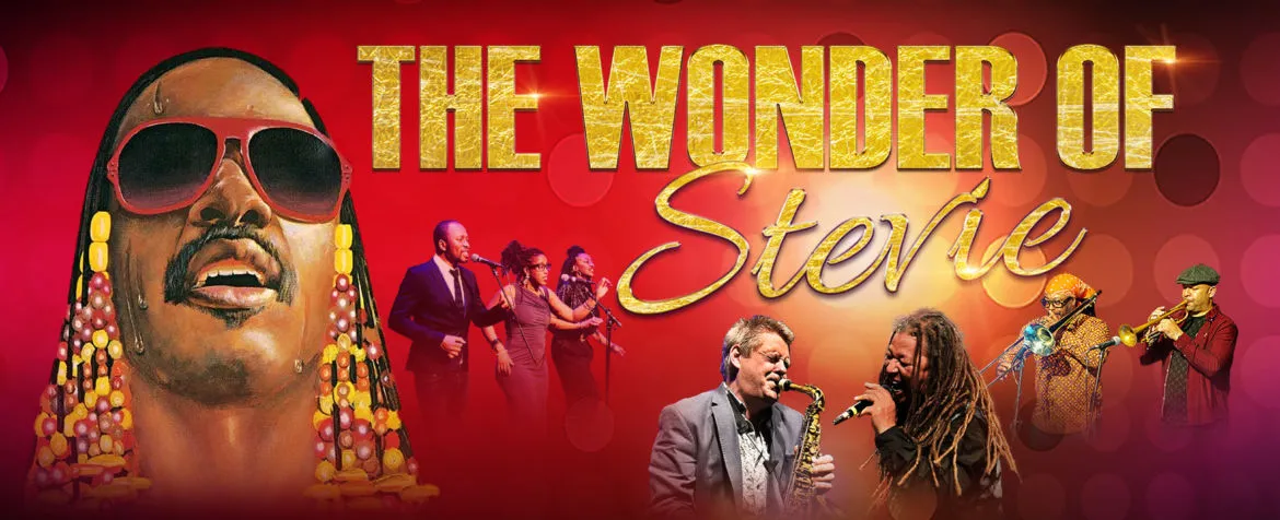 Image The Wonder of Stevie