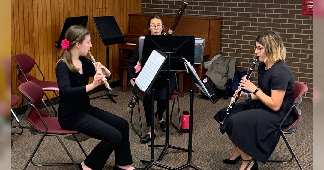 Image Schools Music Education, Link Up: The Orchestra Moves