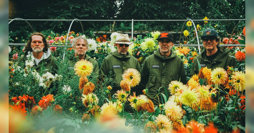 Image Super Furry Animals