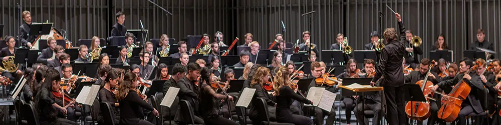 Image Romantic Realms: Esa-Pekka Salonen Conducts Bruckner