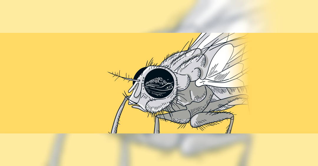 Orpheus in the Underworld