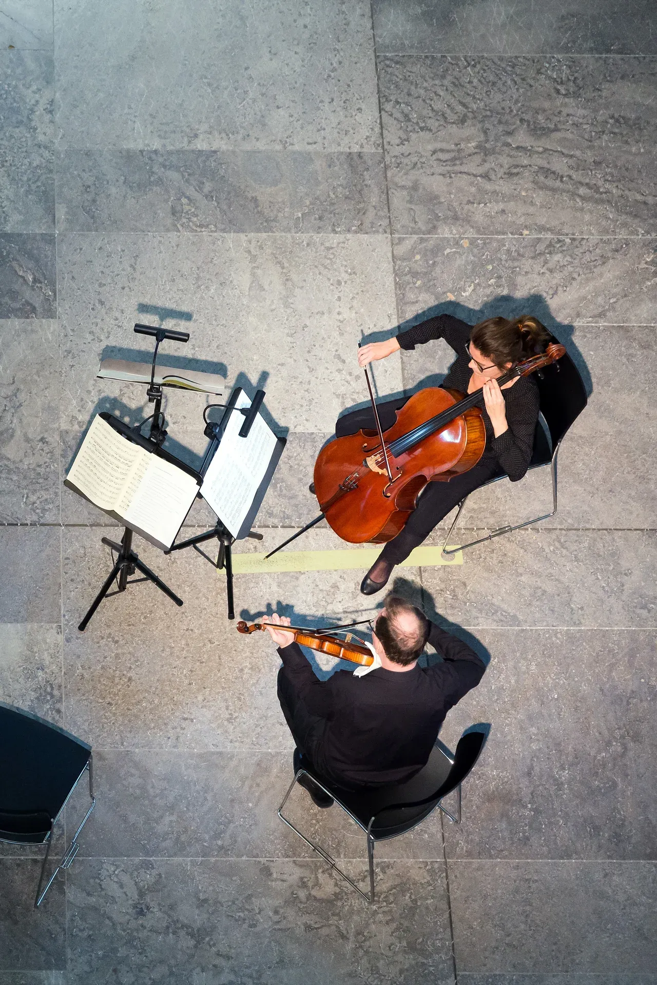 Image Echoes in the Museum