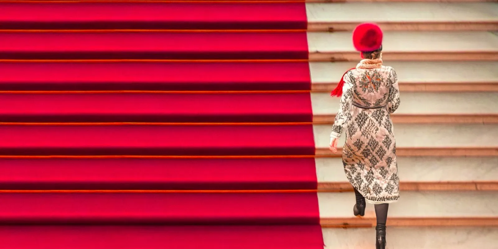 Image Government Inspector