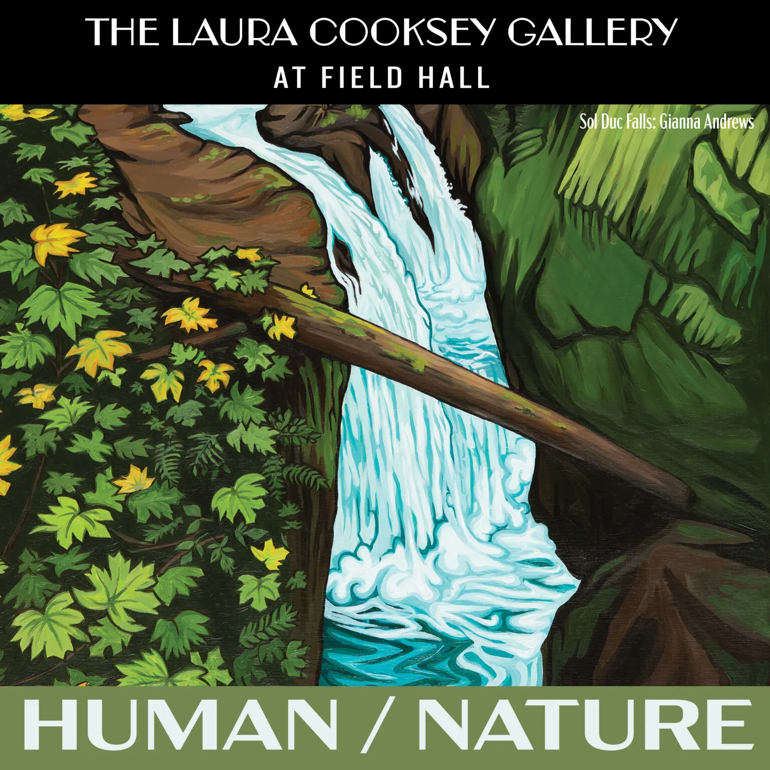 Image Laura Cooksey Gallery Exhibit Open: HUMAN/NATURE