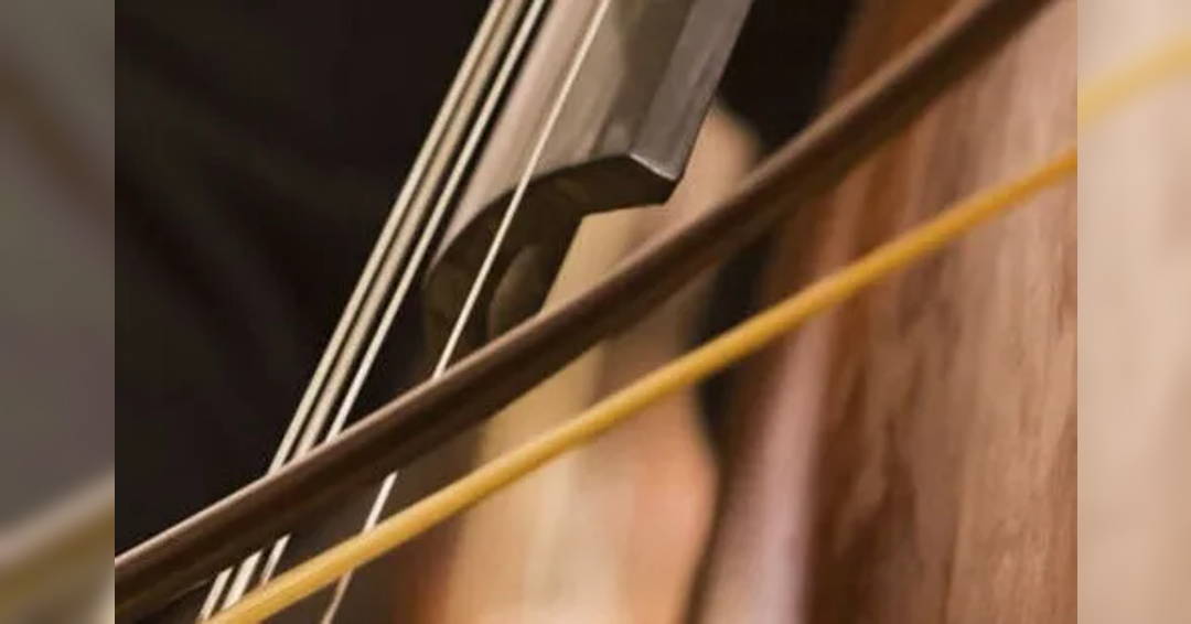 Image University Double Bass Studio Recital