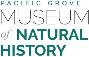 Image First Fridays in Pacific Grove