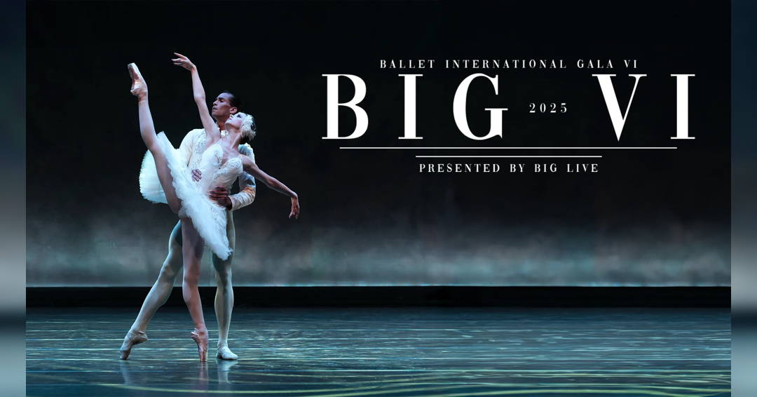 Image Ballet International Gala VI