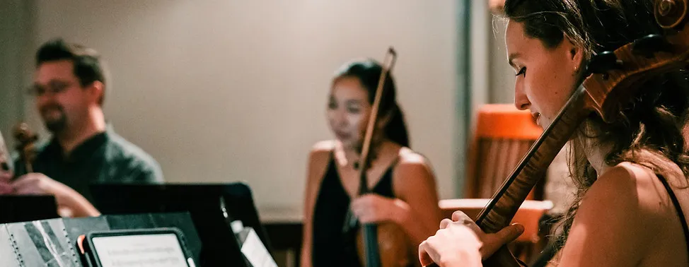 Image NashvilleCMS Adult Chamber Music Intensive 2026