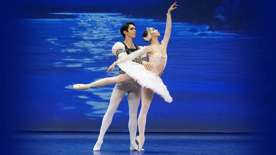 Image Swan Lake