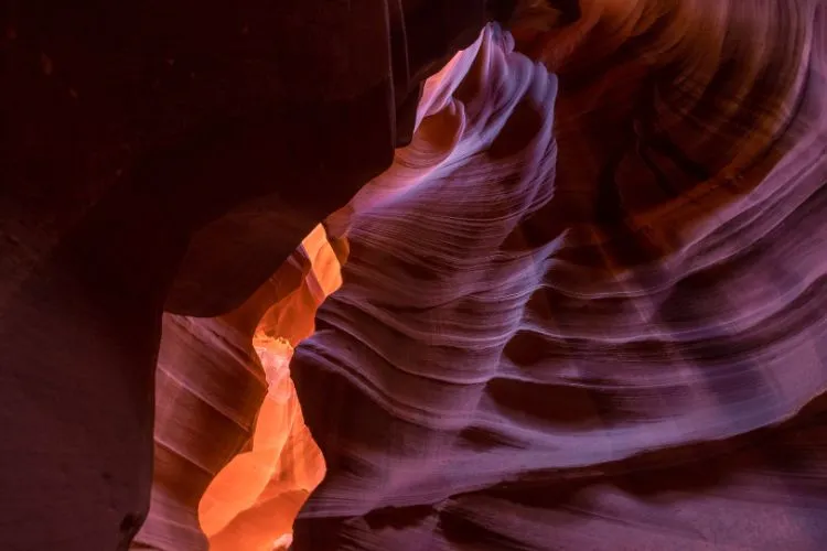 productionImage