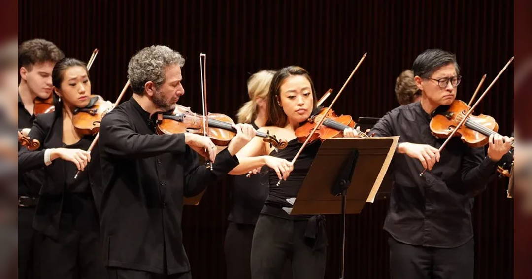 Image Violins of Hope