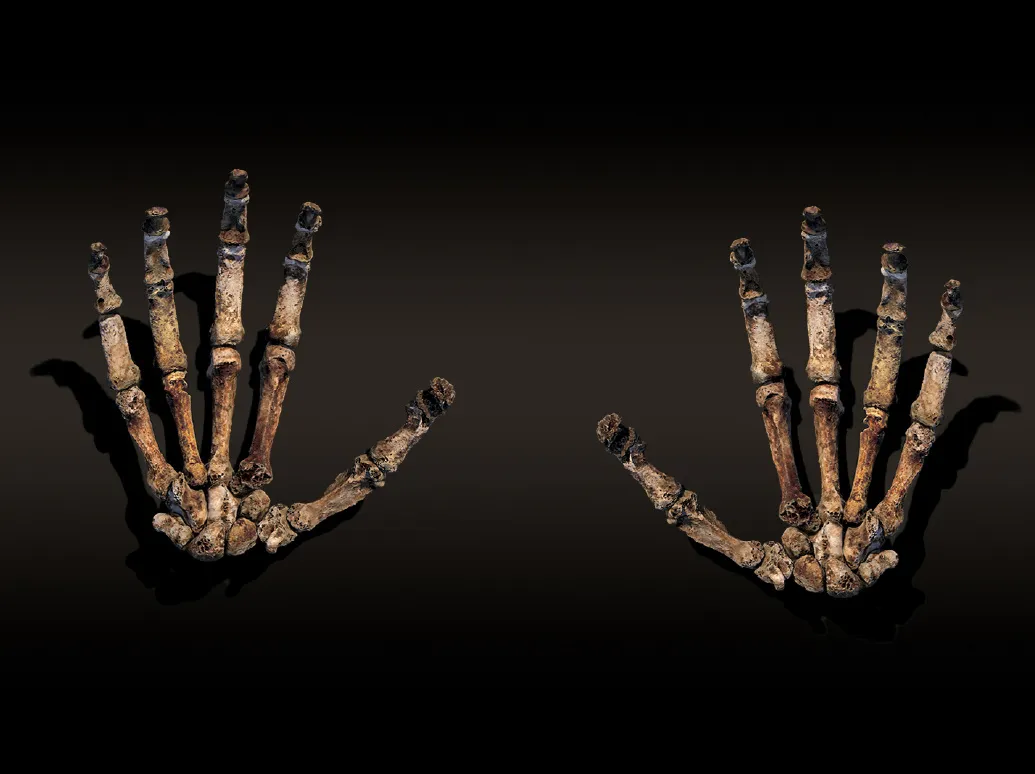 Image Lee Berger: Cave of Bones