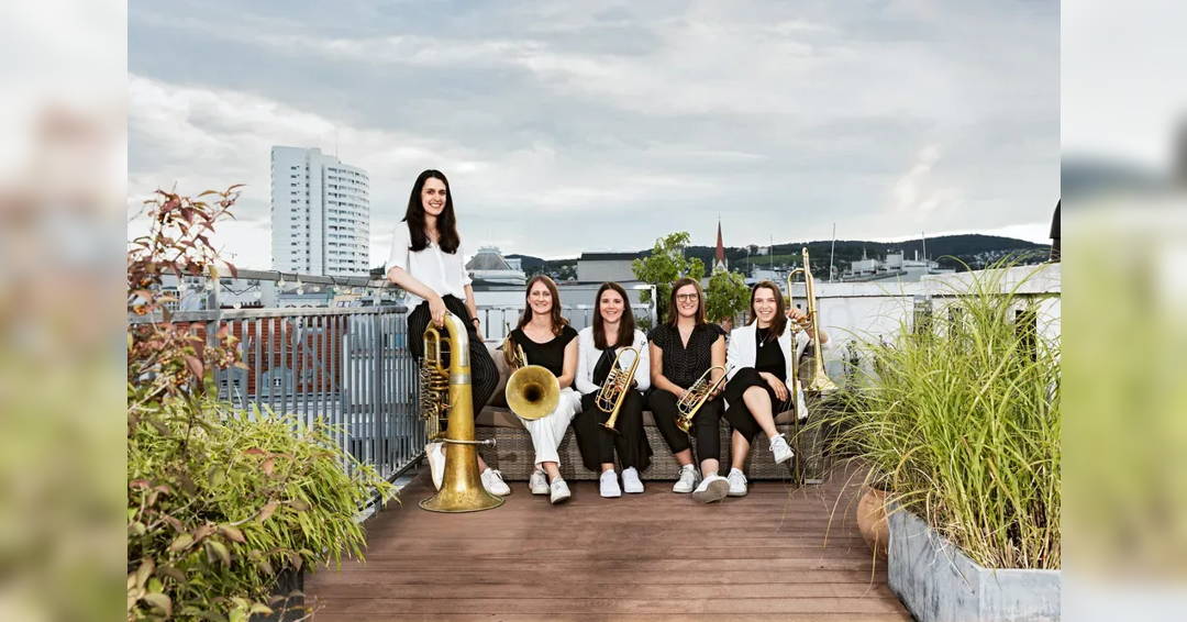 Image Musik Ensemble Salzburg & quinTTTonic: Summer Concert