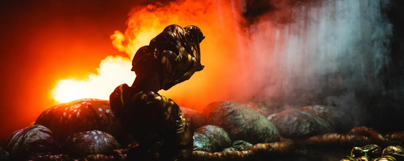 Justin Talplacido Shoulder: ANITO