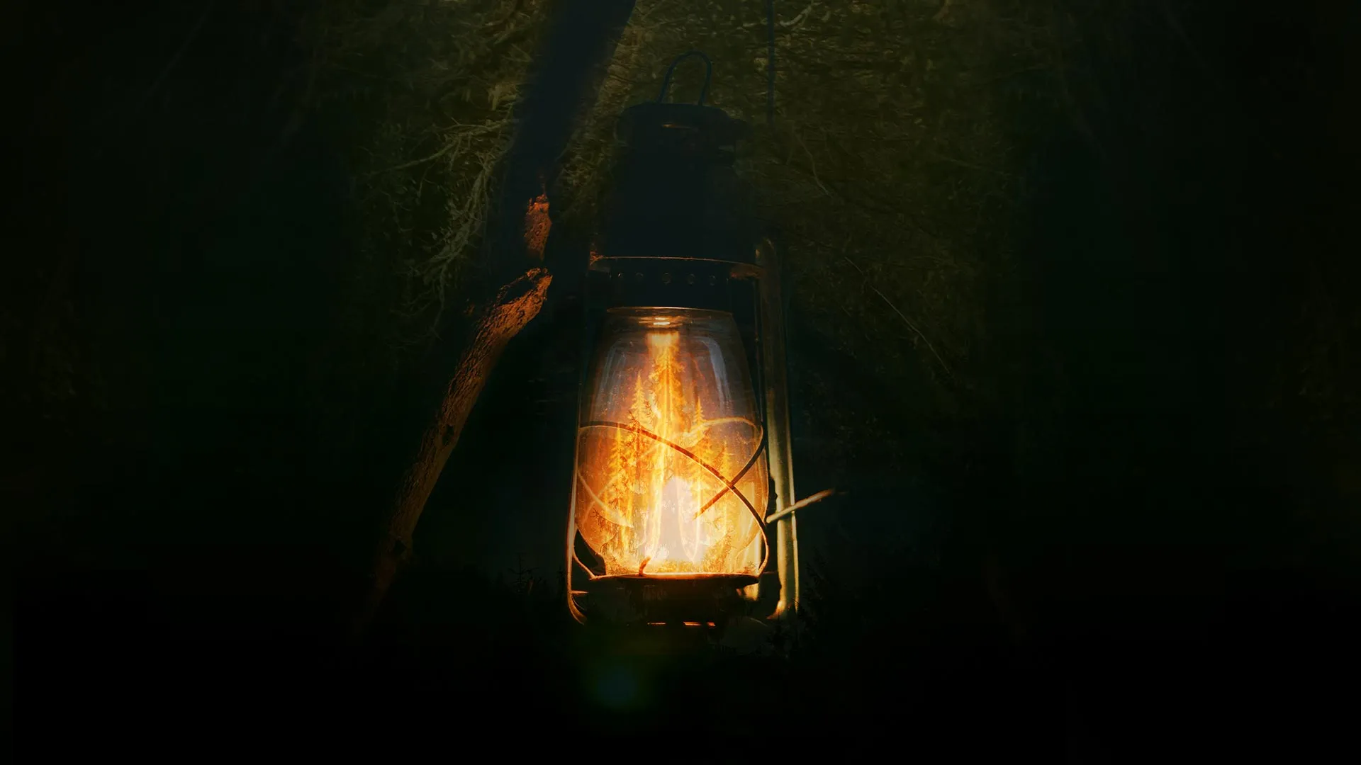 Image Into The Woods